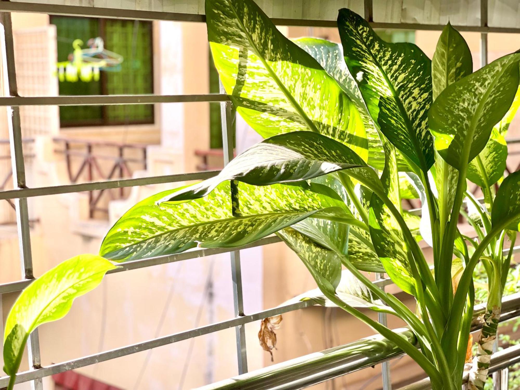 RS III Location Hostel Phnom Penh Exterior foto